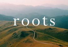 Brooks Roots Journey