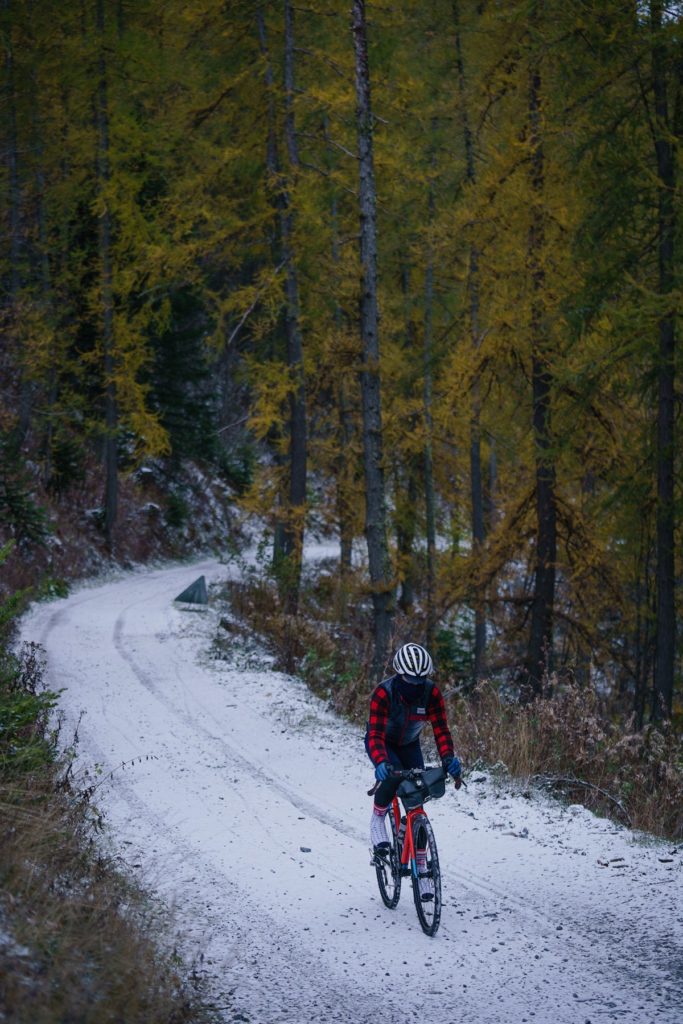 20191111 2174 mattwragg 683x1024 1