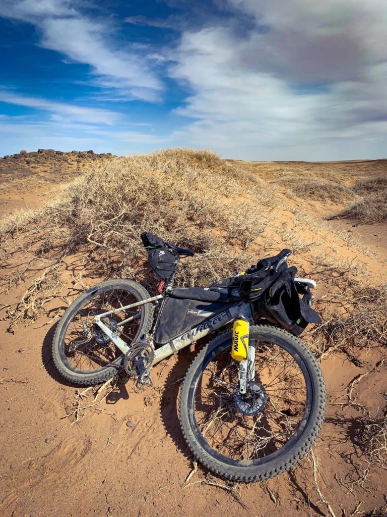 89360088 2023522277794071 8320836736078839808 o 768x1024 1