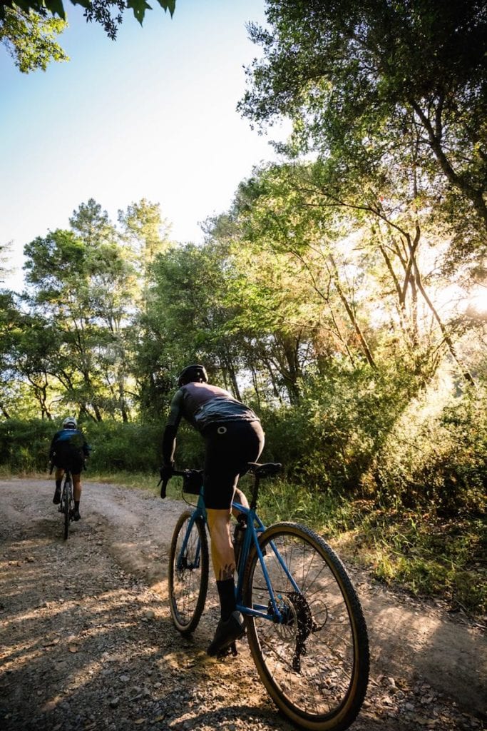Cannondale Topstone