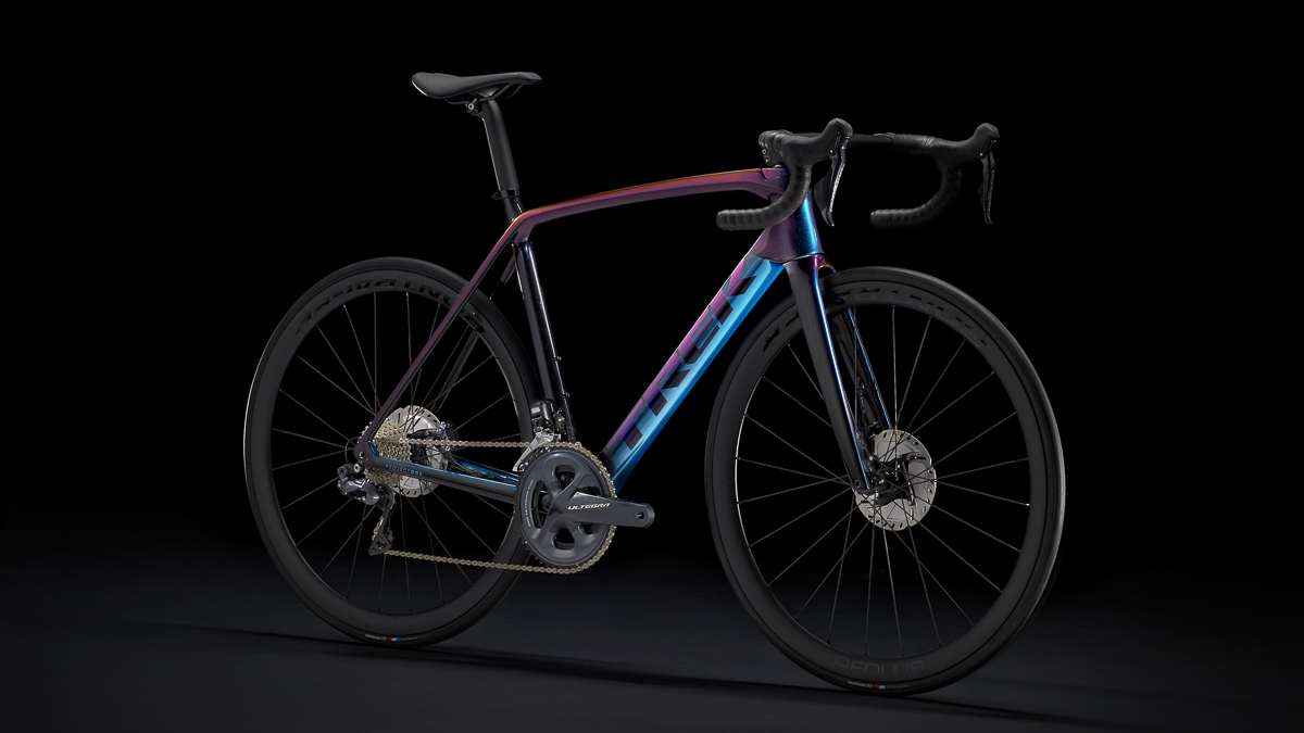 Emonda Amplified Alchemy Portrait