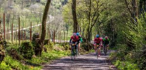 La Ronda: 17 muri e 20 km di sterrato per scoprire le "Fiandre Trevigiane"