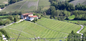 Granfondo Bra Bra Specialized: in 2.500 sulle colline di Langhe e Roero