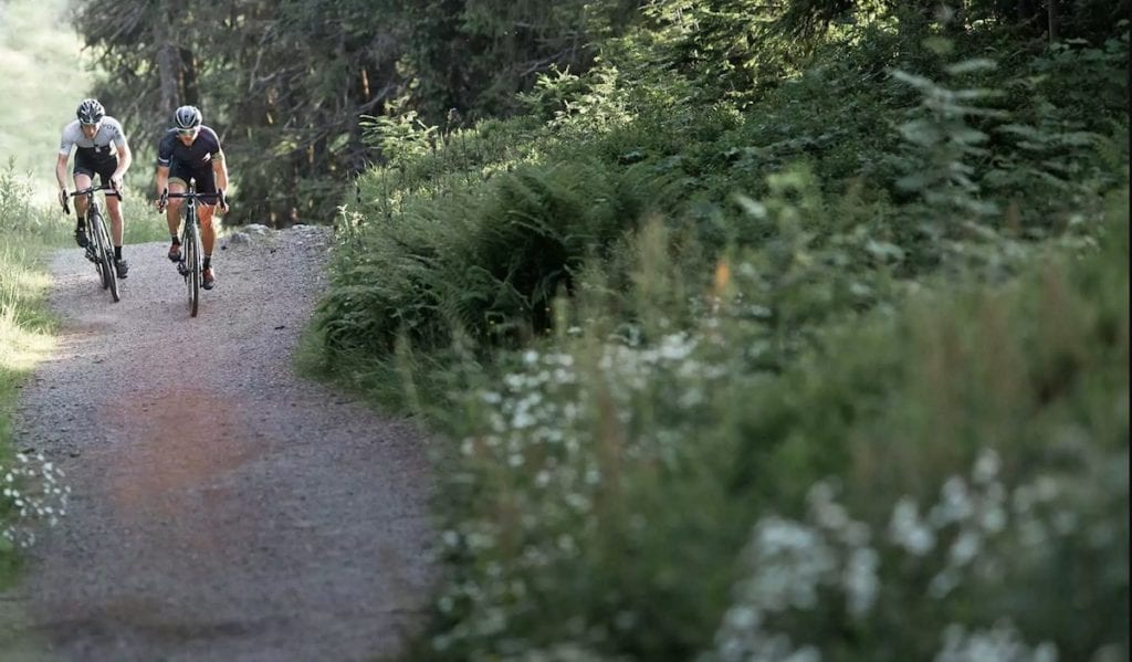 Schwalbe G-One speed
