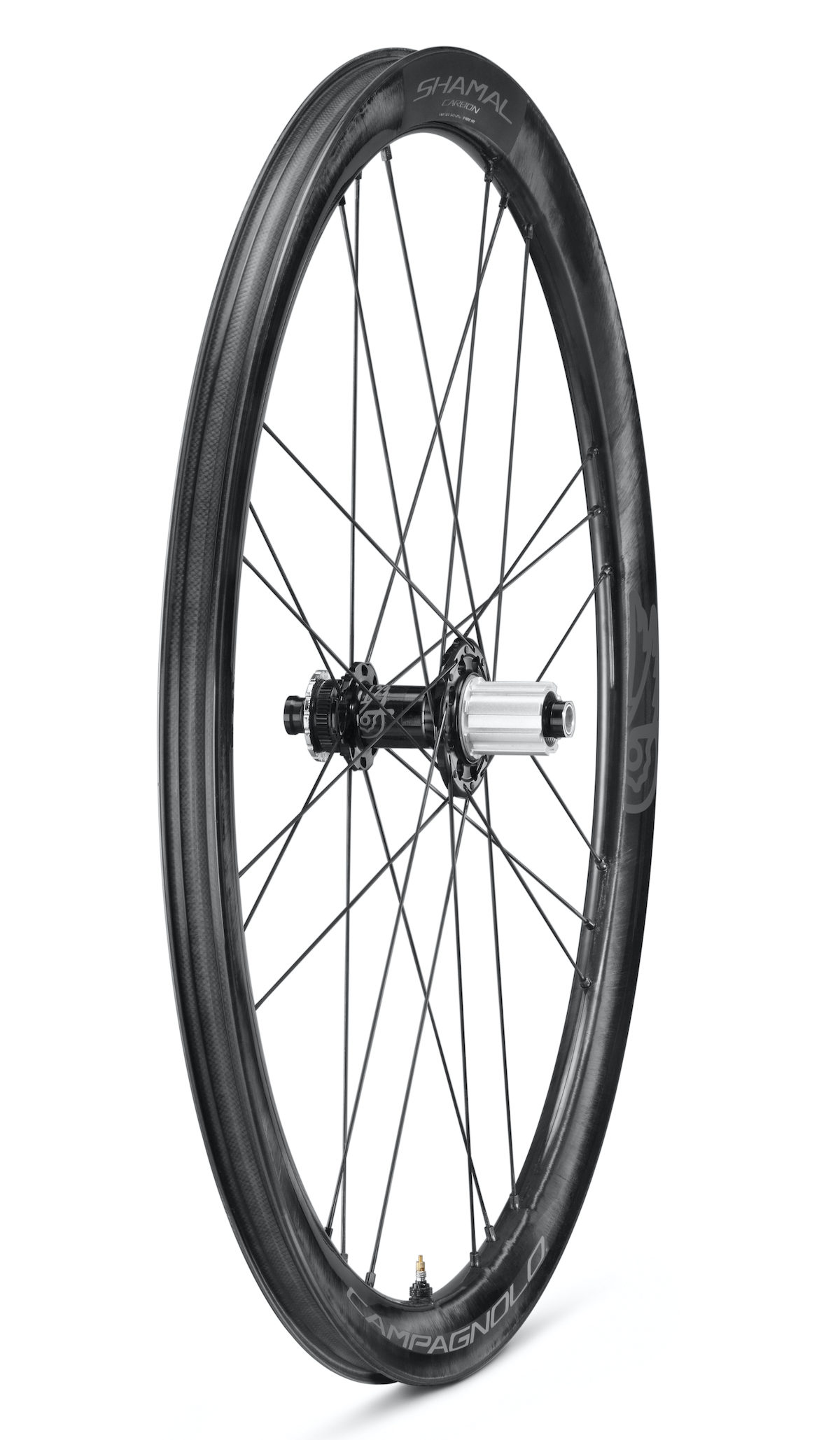 nuove Campagnolo Shamal