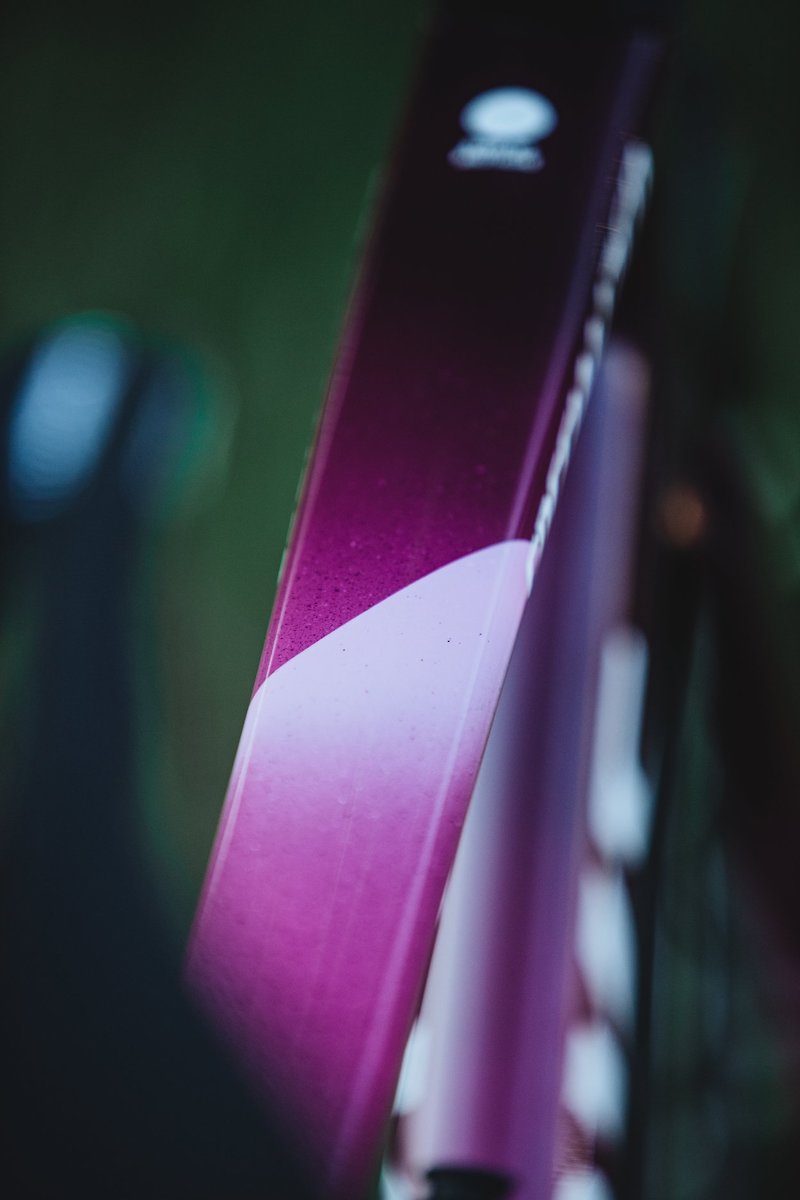 192033582 10159336431907579 7610198446577465368 n