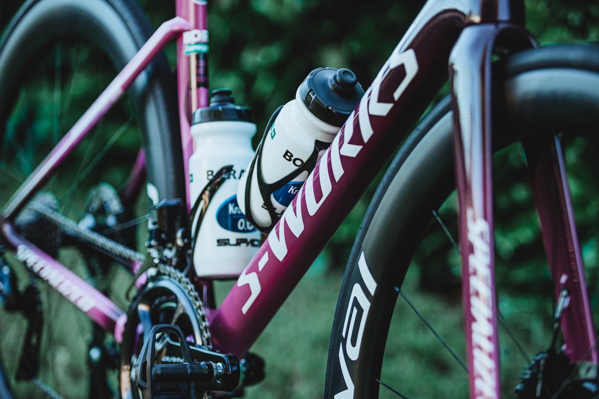 193188368 10159336431277579 12905162972798827 n