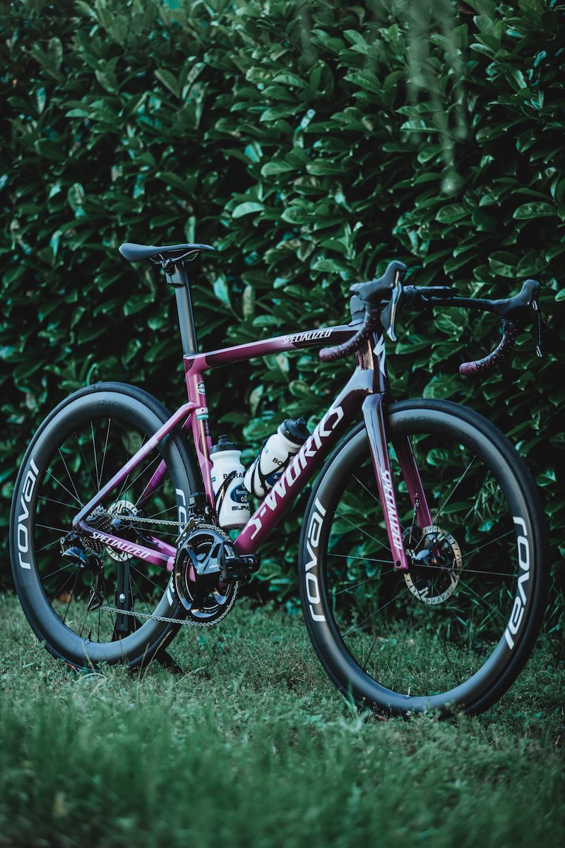 193727358 10159336431572579 7308527368059545836 n