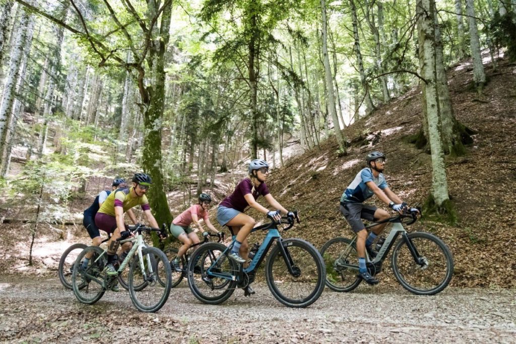 293306514 162401689651474 5784210419270955299 n 1024x683 1