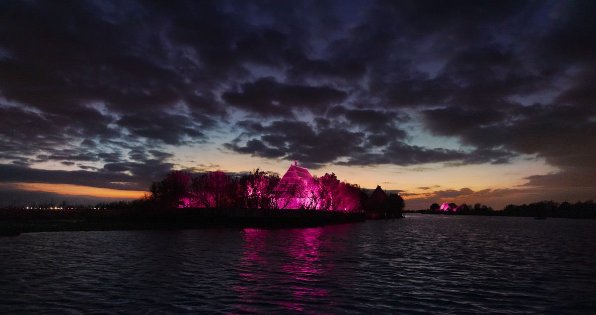 La notte rosa