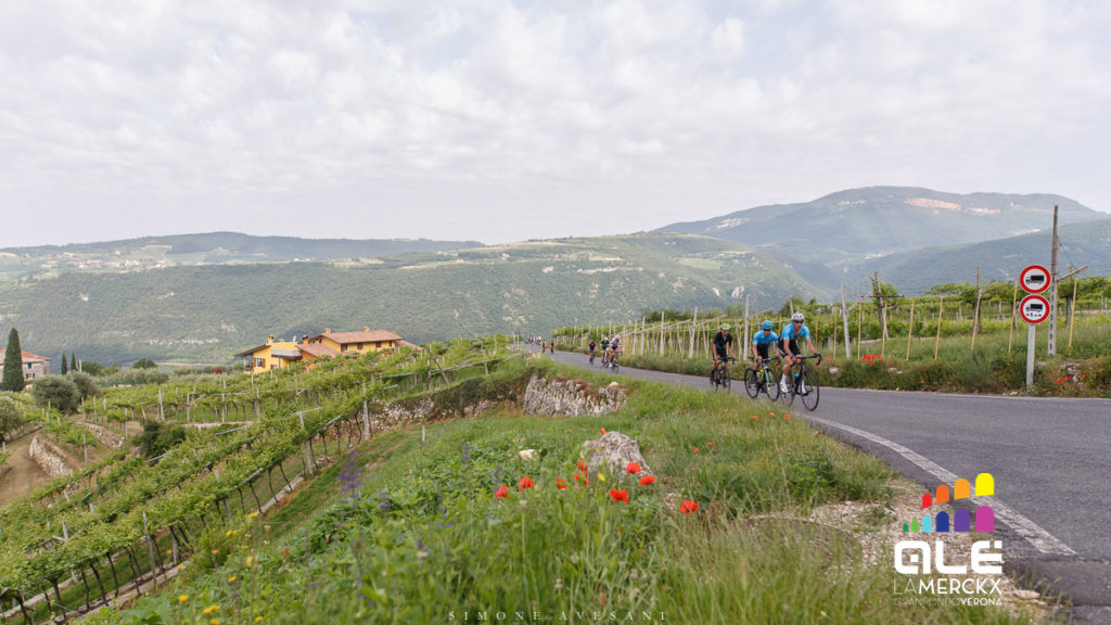 Granfondo Alé La Merckx
