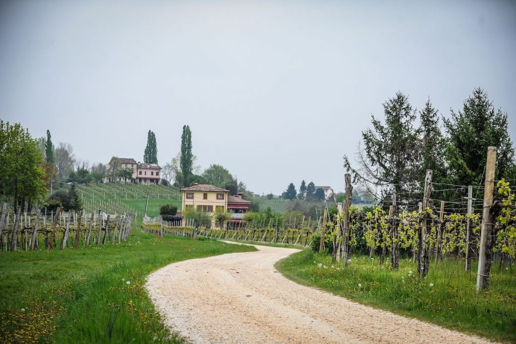 5091 20190413 083735 150010717 original 1024x682 1