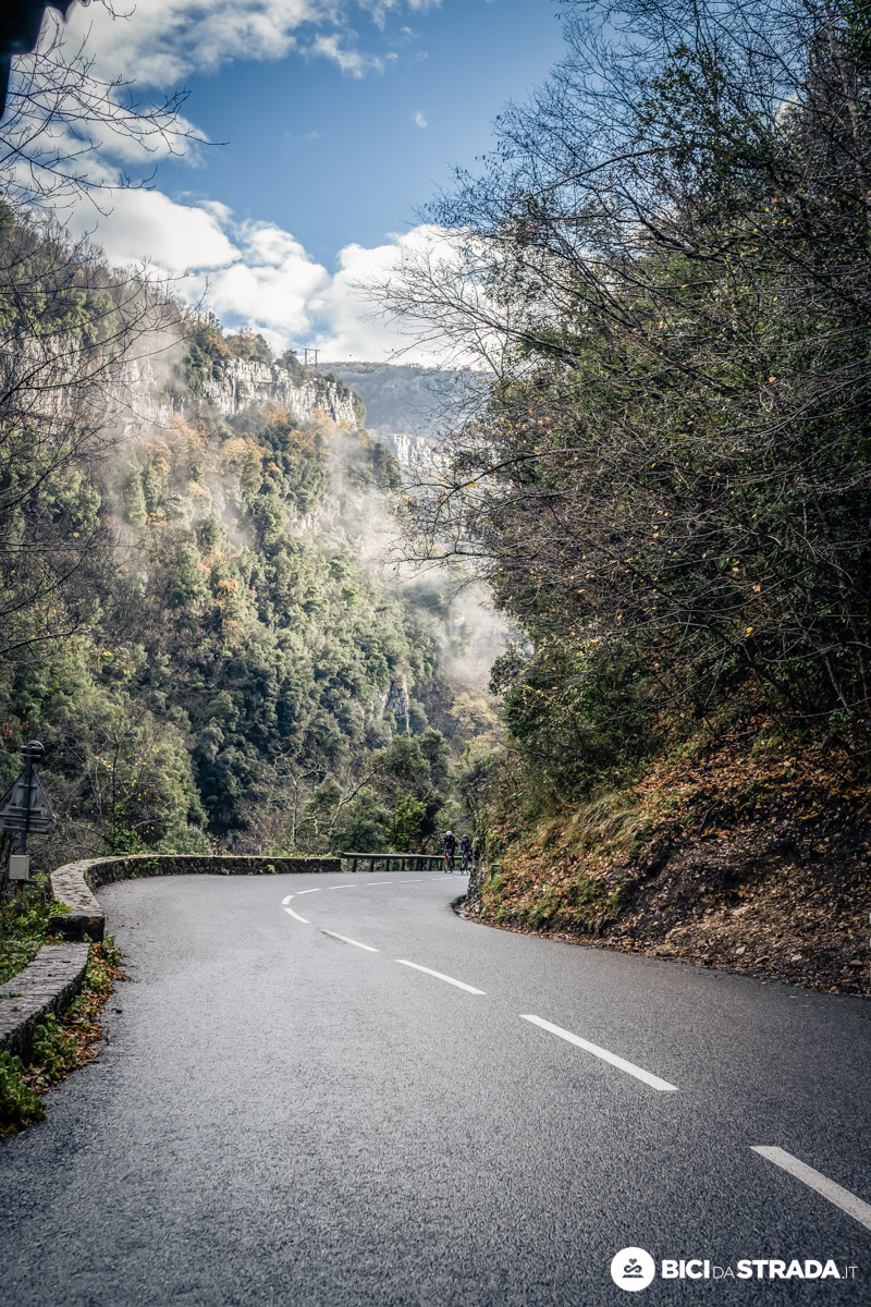 Angeli vanno in bicicletta 2