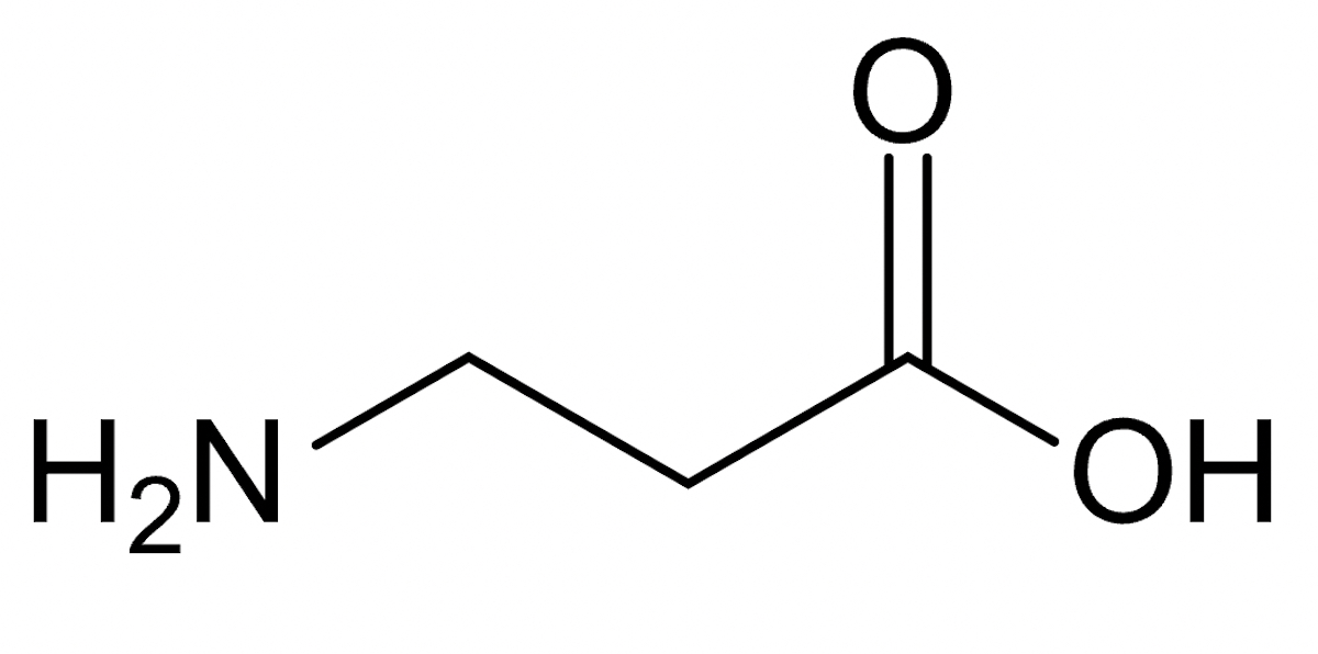 Beta Alanina