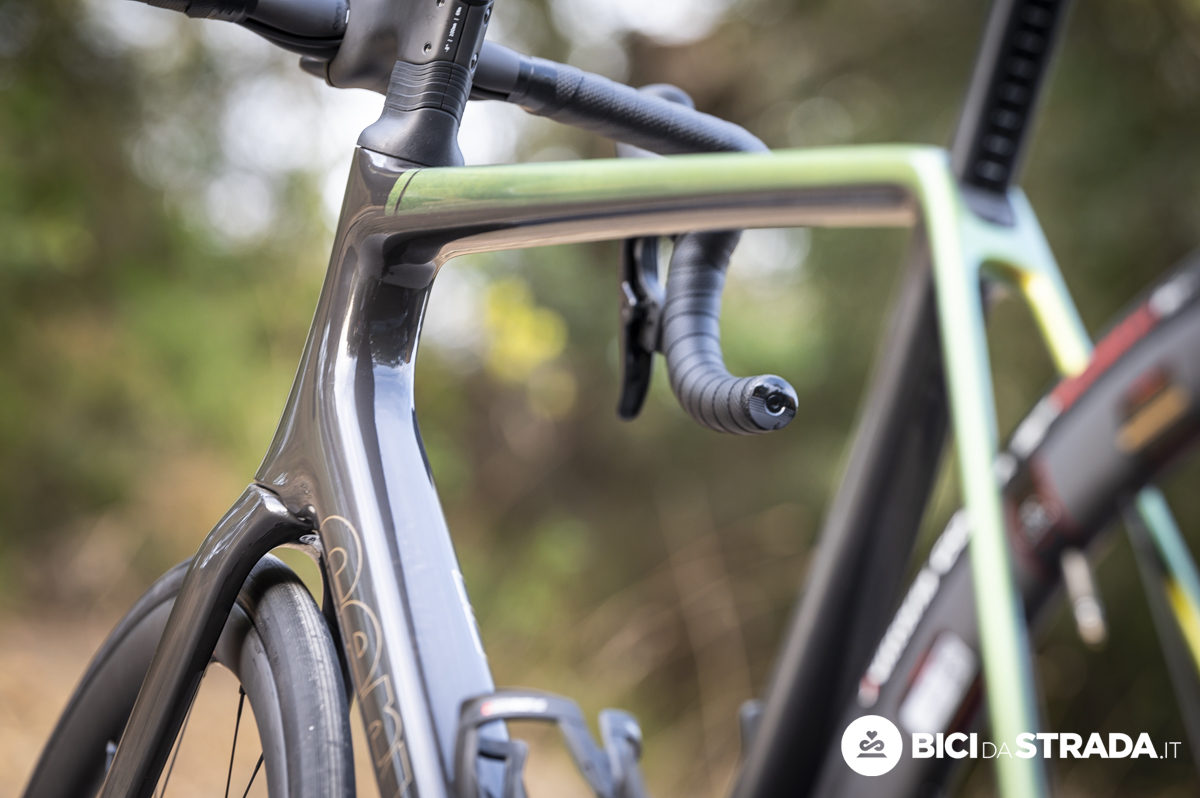 CERVELO 31