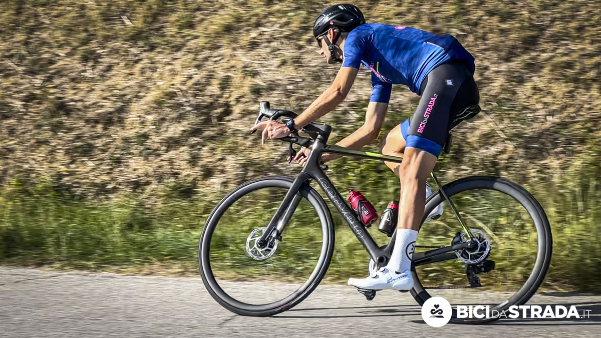 CERVELO 36