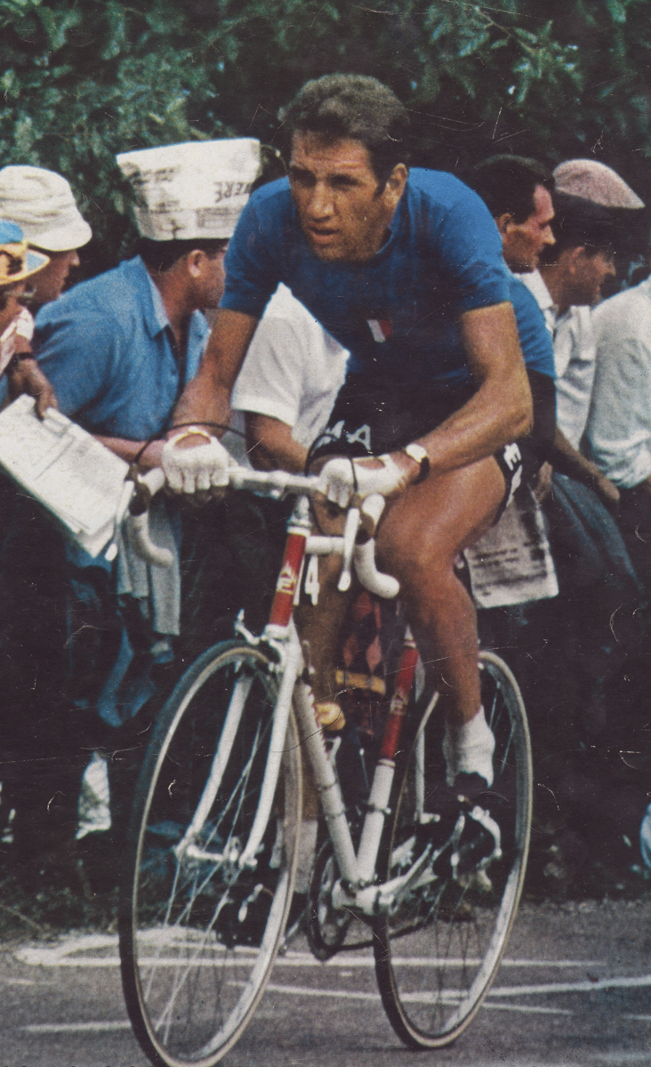 FRESCHI imola adorni mirori colore 001