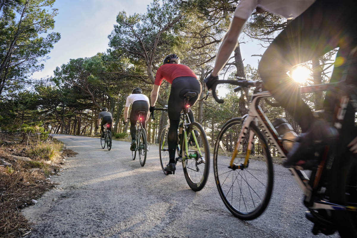 Garmin Varia lifestyle 2