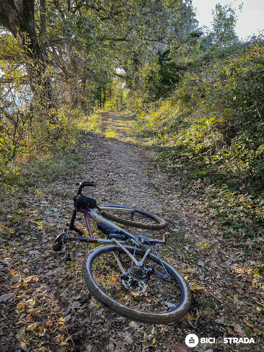 ridatemi la bici da strada