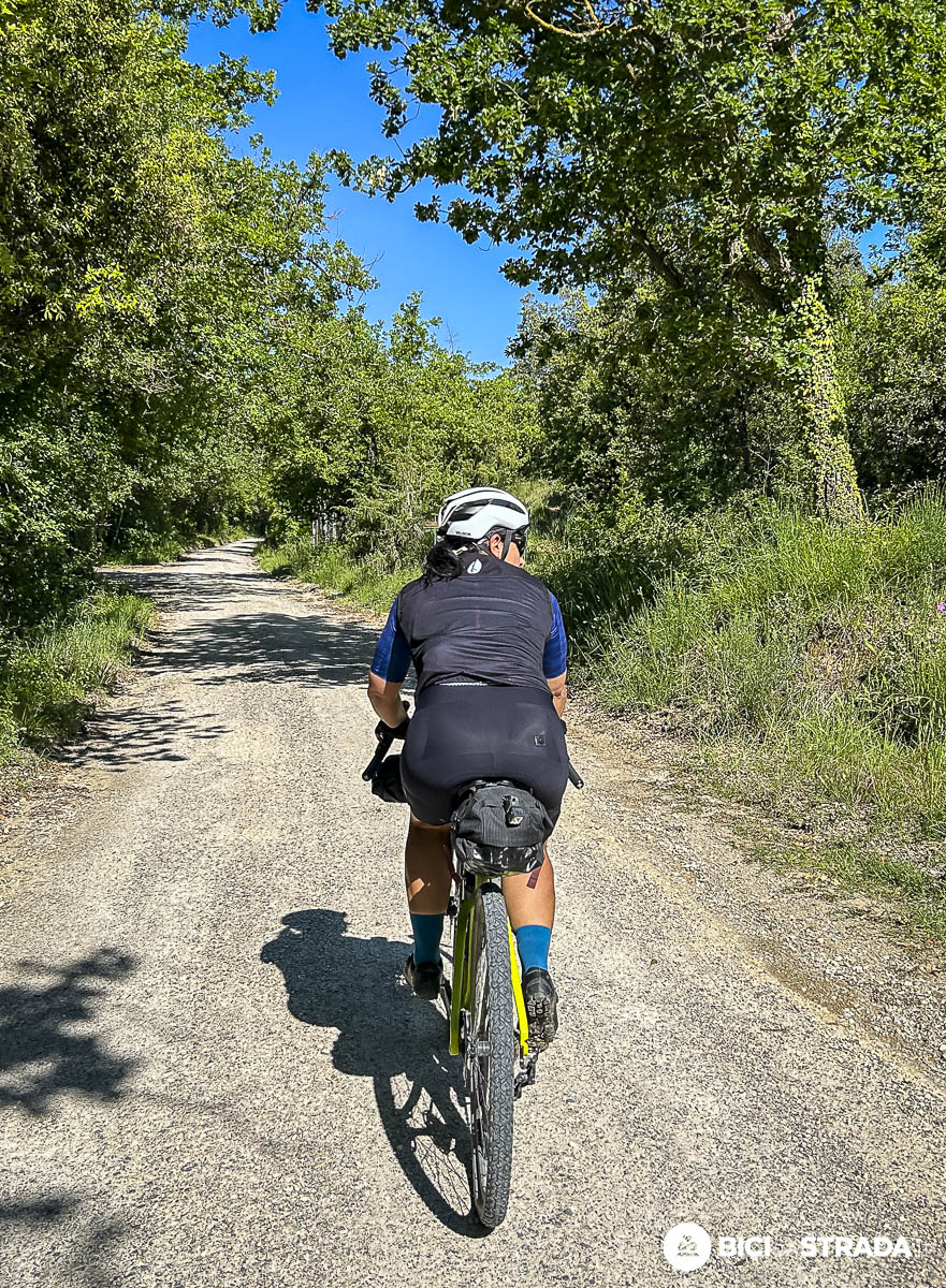 Wilier Adlar