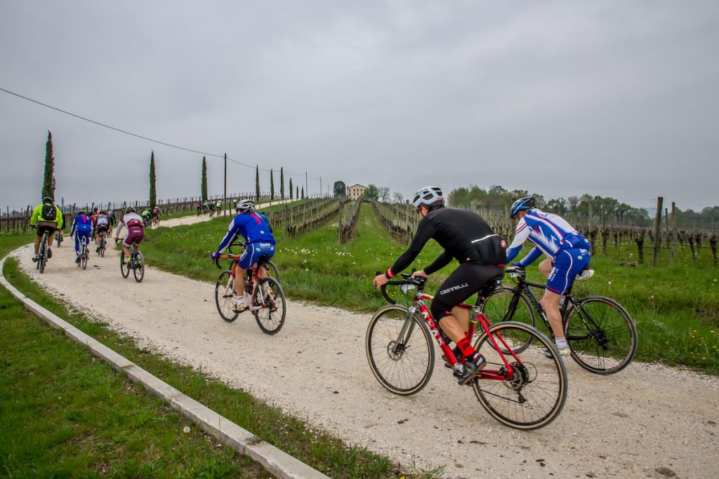 LaRonda19 press2 223 1024x683 1