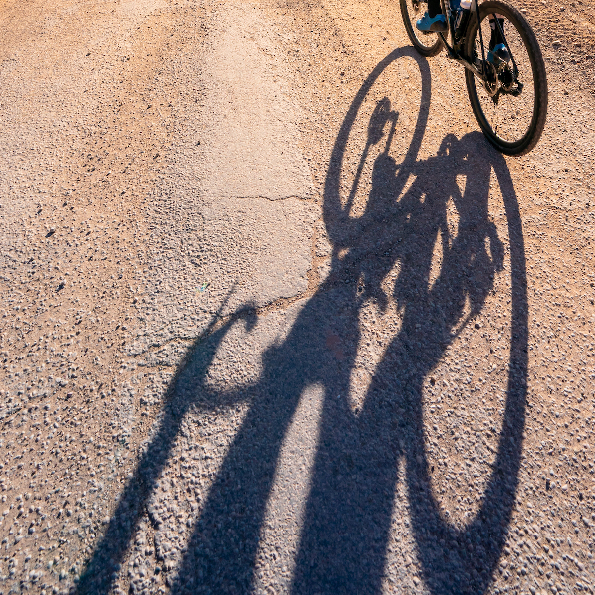 Gli angeli vanno in bicicletta