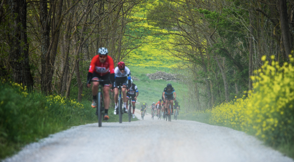 La Nova Eroica 2020 si farà, ma partenza e arrivo non saranno a Buonconvento