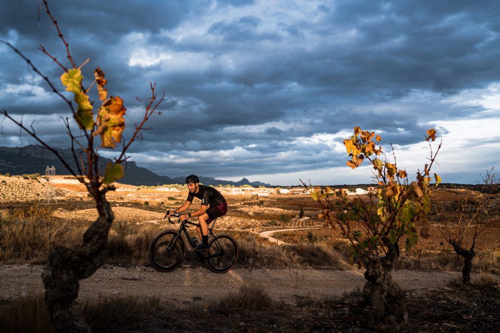 Wine Paths1 1 1024x683 1