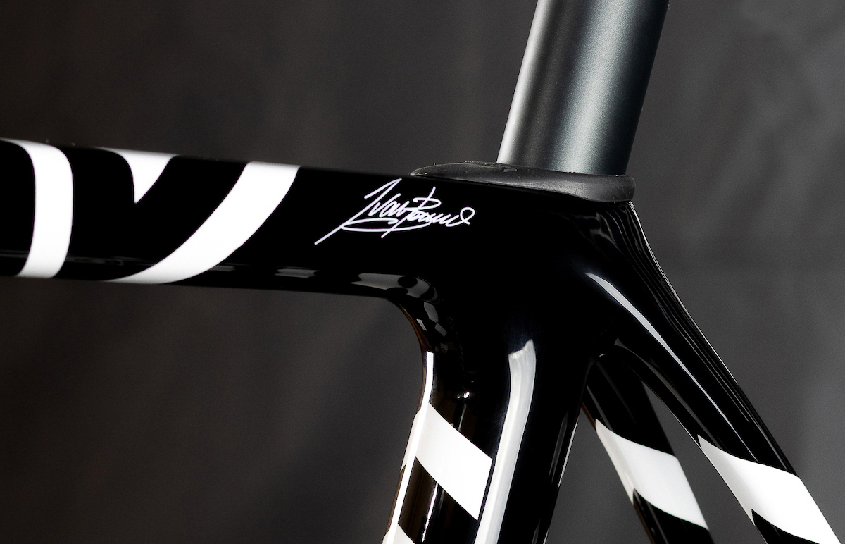 Zevra firma basso 21 julio