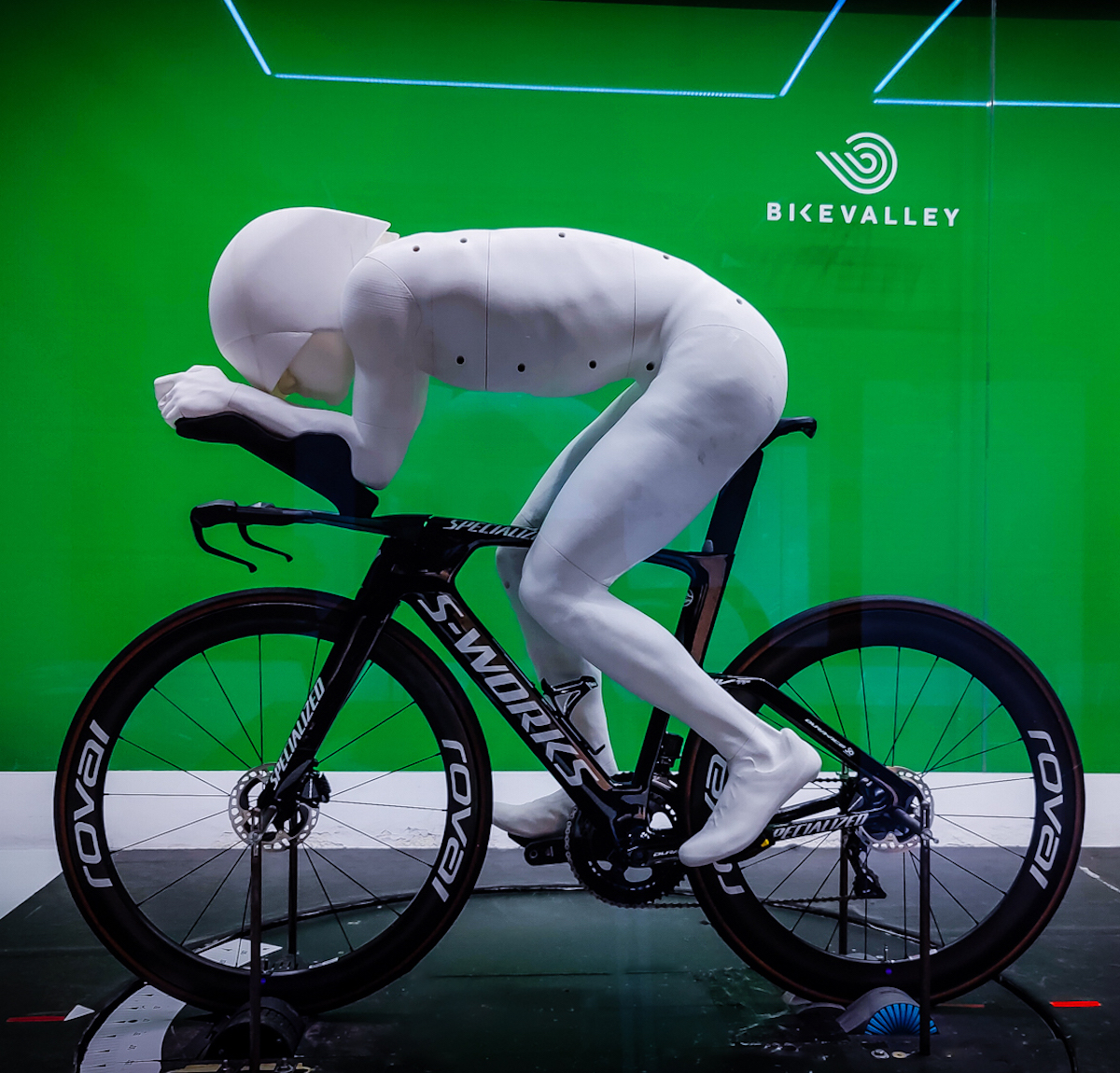 Evenepoel Van Aert manichini