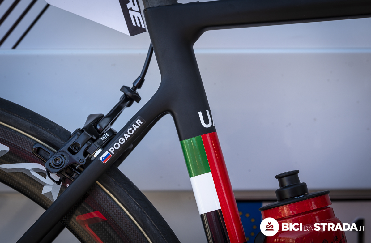 colnago 2