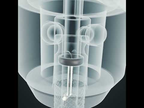 Schwalbe CLIK VALVE
