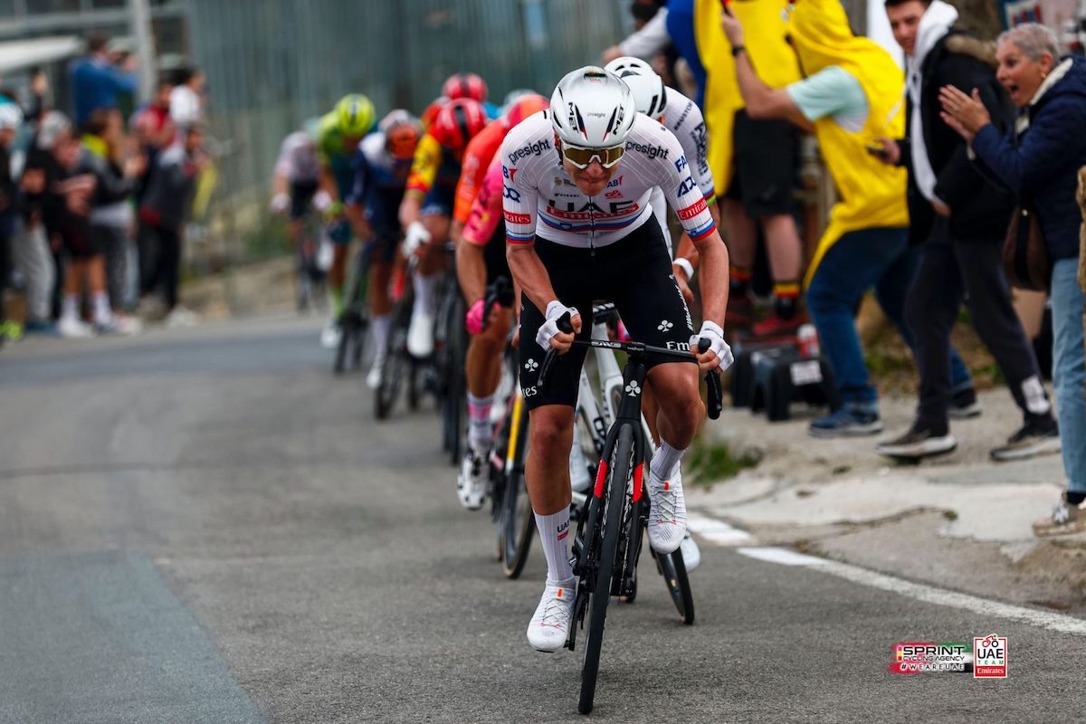 dati della Milano Sanremo 2024