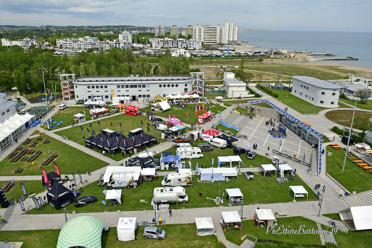shark arena