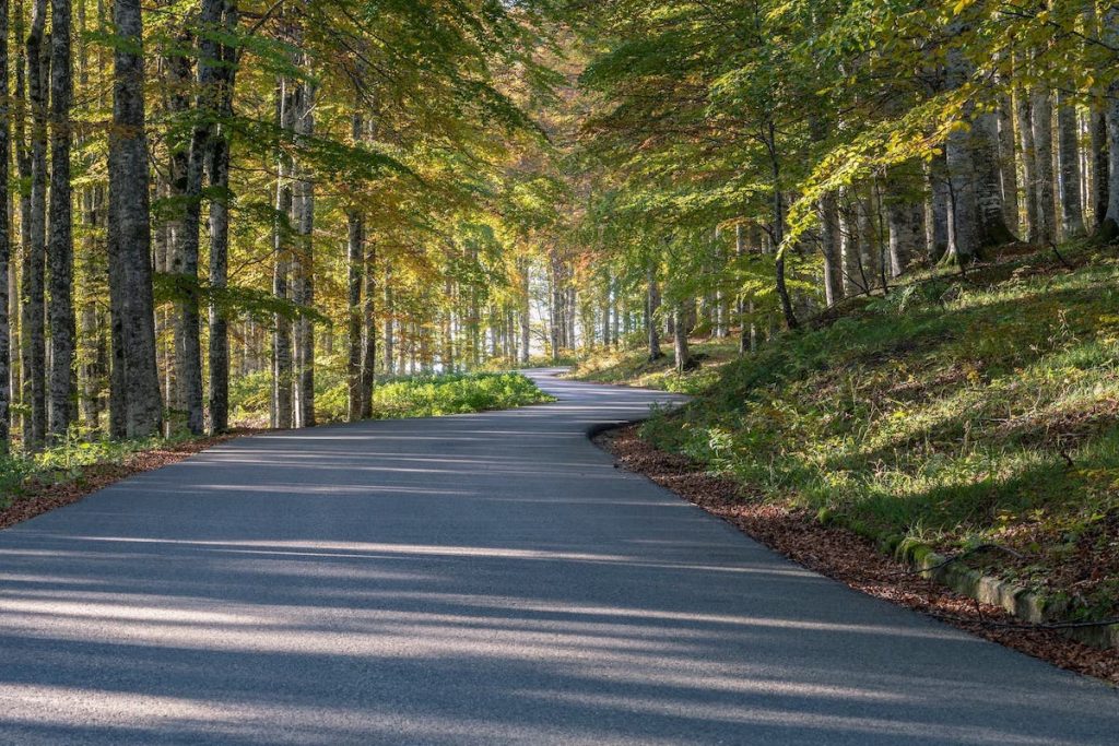 shutterstock 2140096879 1024x683 1