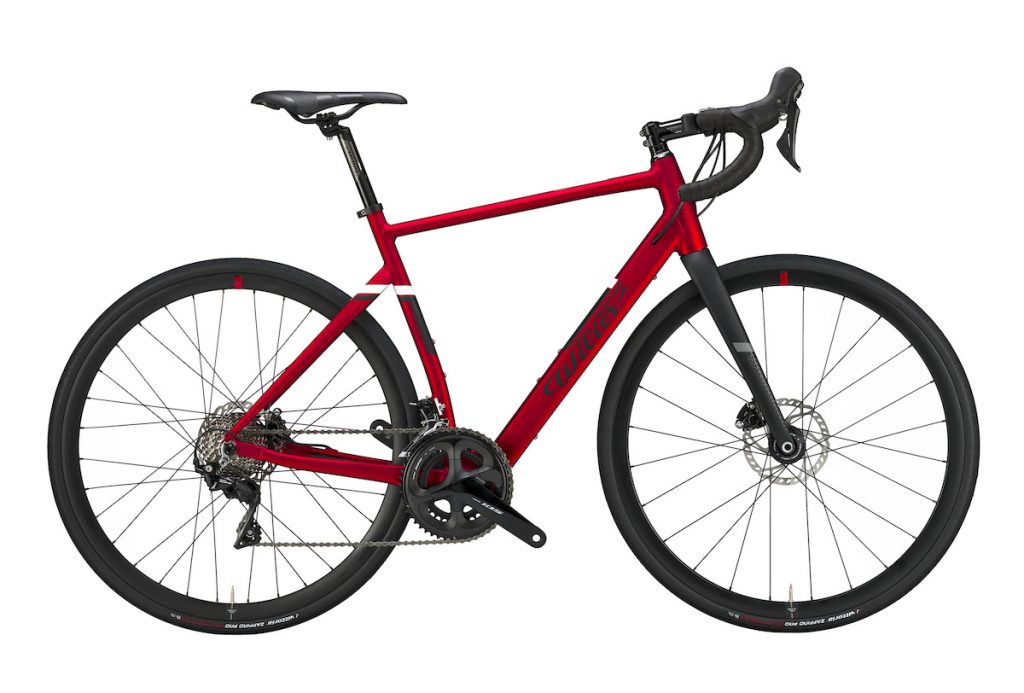 triestina hybrid cv y10 1024x693 1