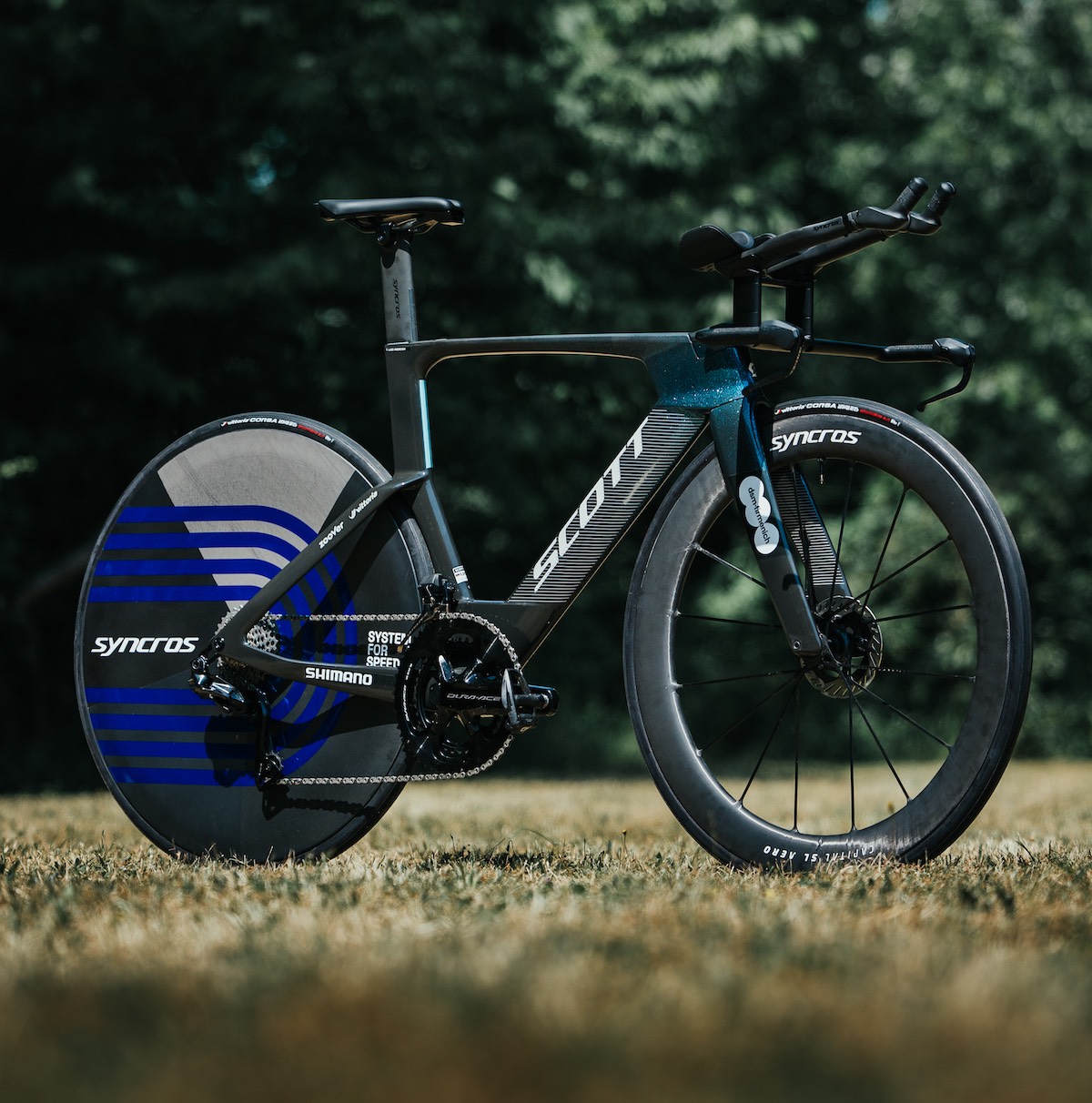 Syncros Capital SL Disc