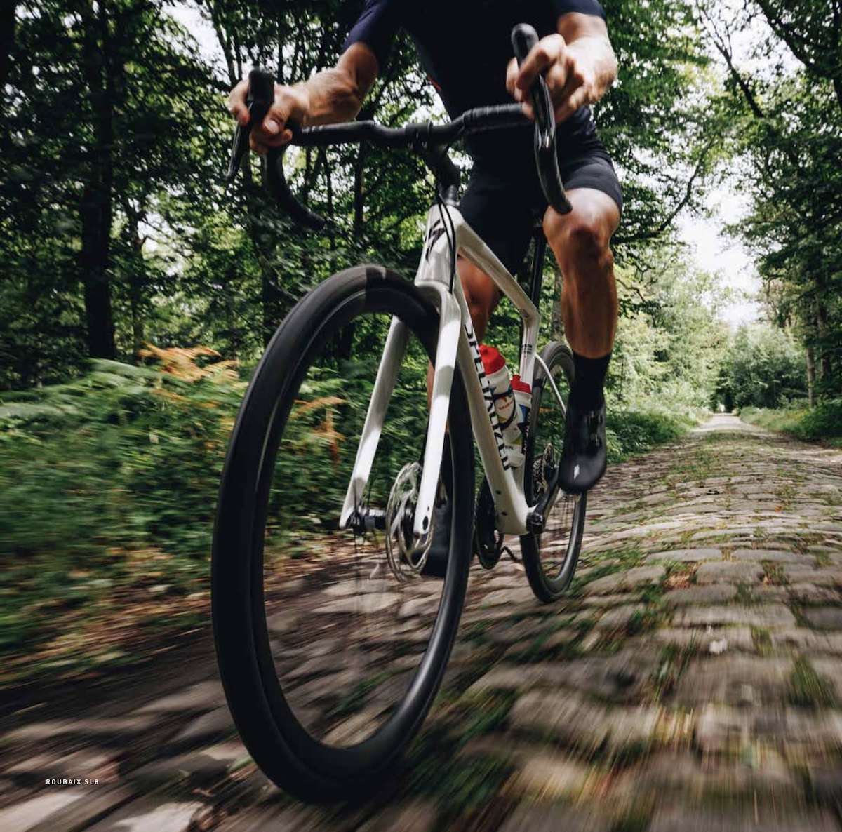 Nuova Specialized Roubaix SL8