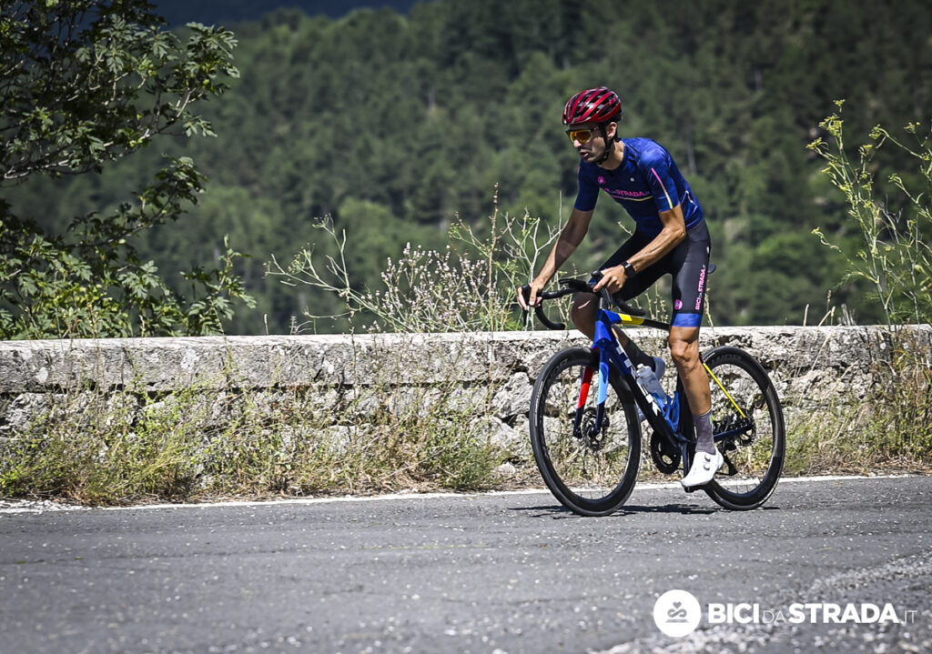 Tarmac SL8 o Madone Gen 8?