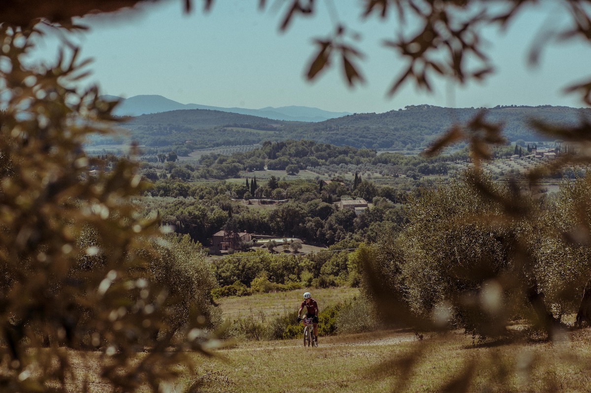 panorama2