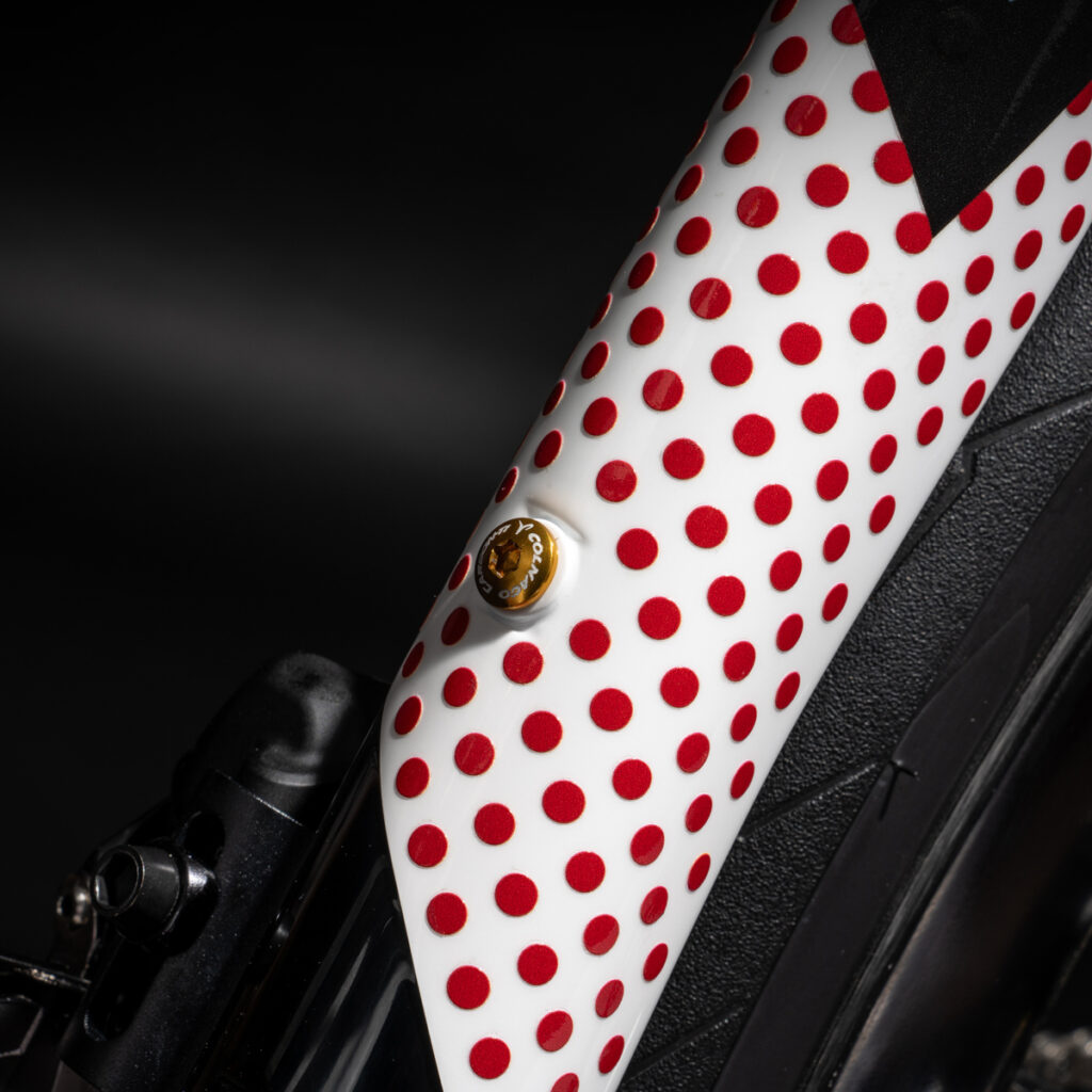 Colnago V4Rs Tadej