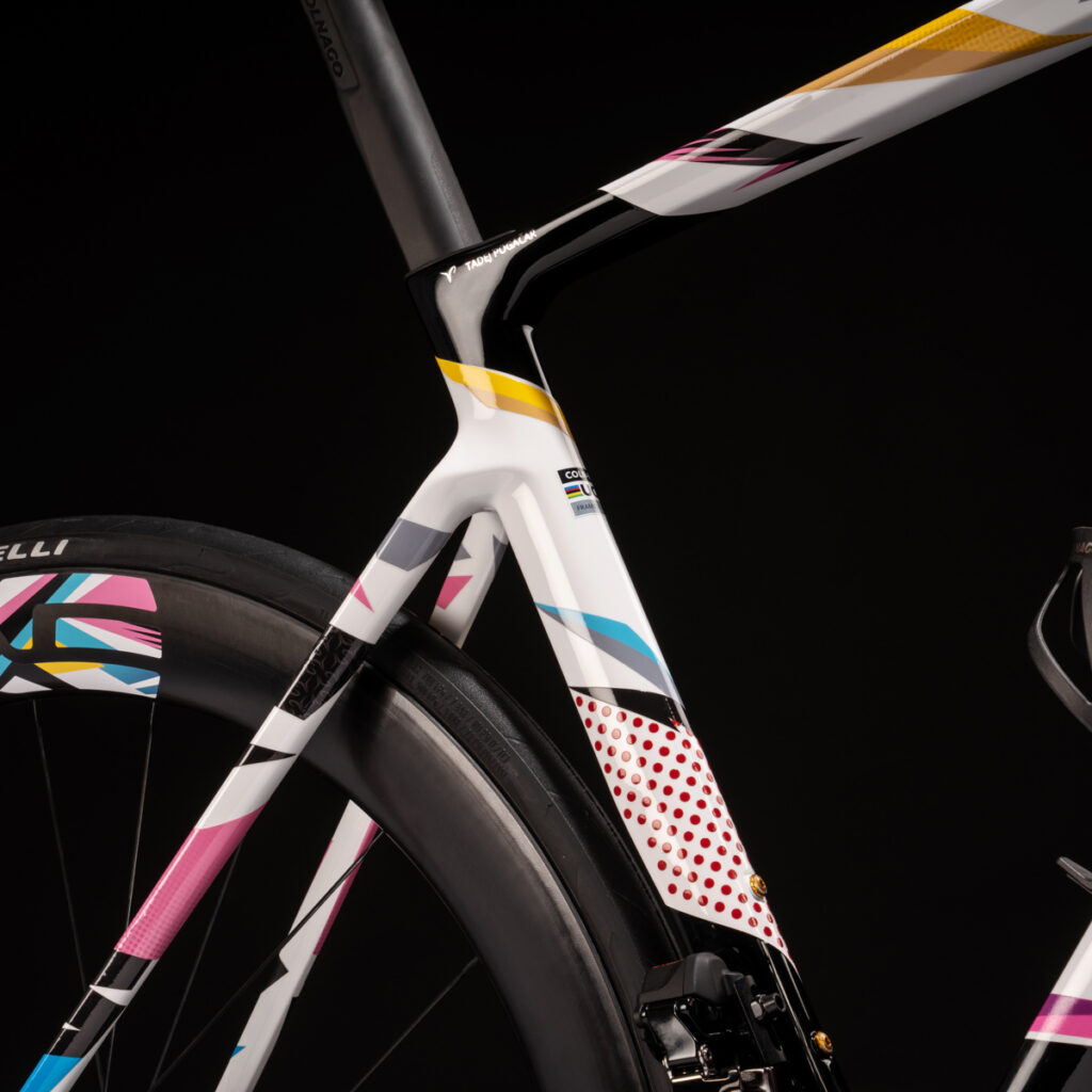 Colnago V4Rs Tadej 6