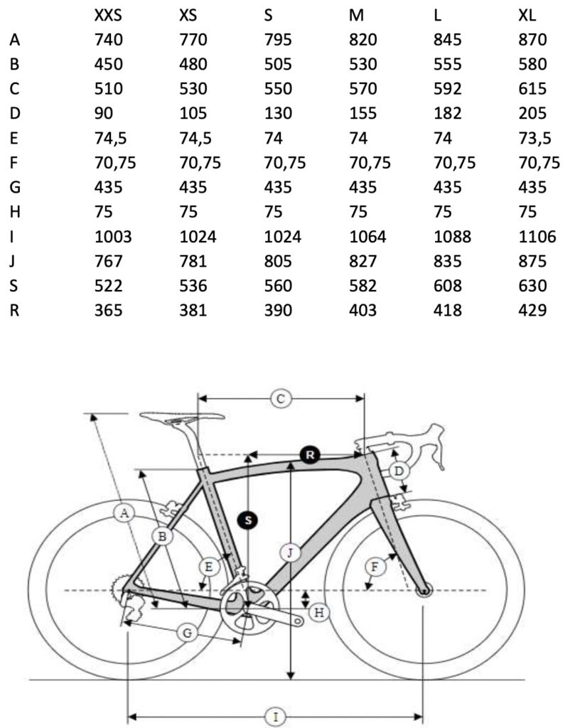 Kanzo A geometry e1727772563940