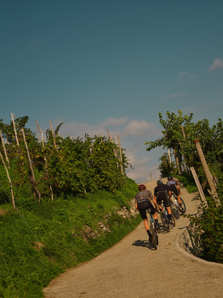 thehills 20241021 edit 1 24