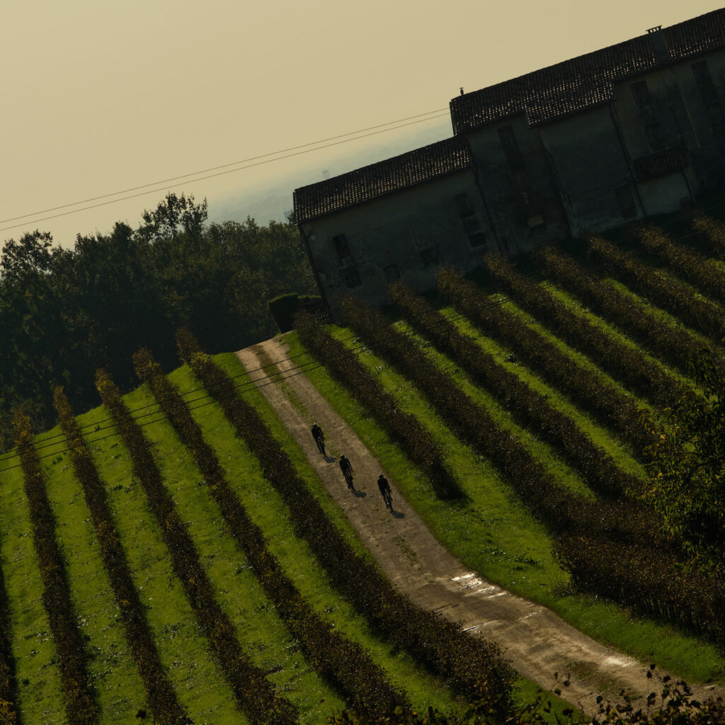 thehills 20241021 edit 1 6