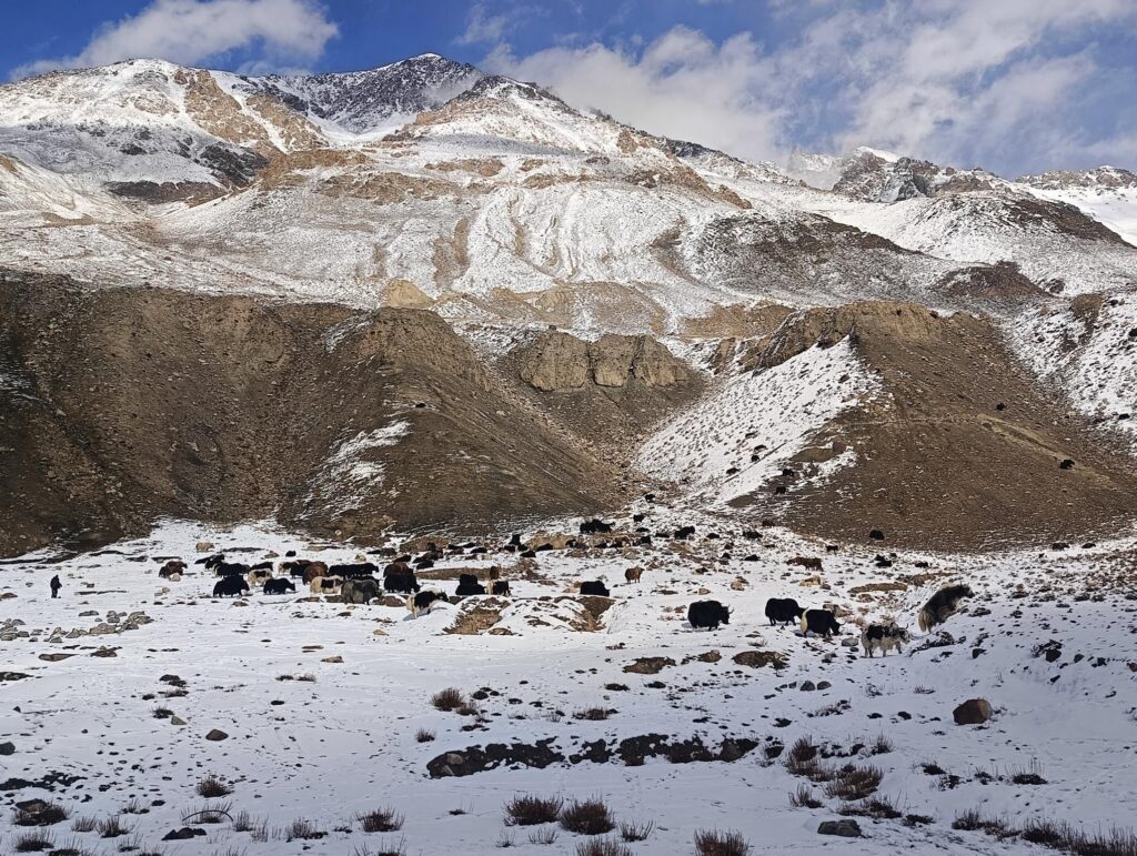 Salita al Khunjerab Pass
