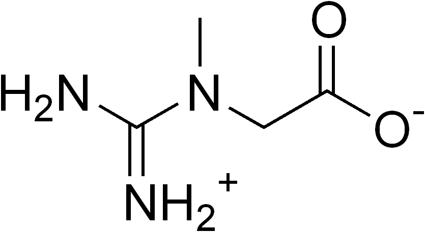 Creatine2