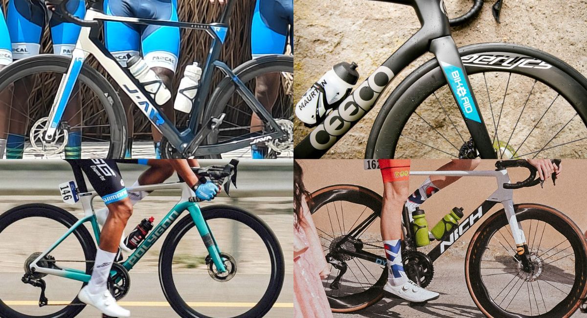 Marchi emergenti Java Ceepo polygon nich