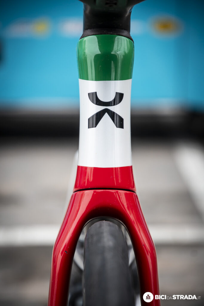 xds alterto bettiol 12