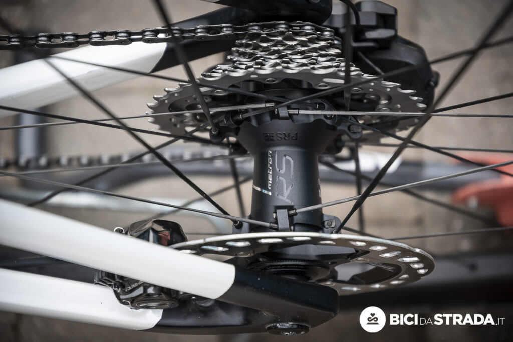 xds alterto bettiol 14